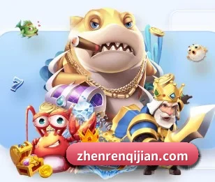 DB中国旗舰官方网站的故事 - 体育资讯内容服务